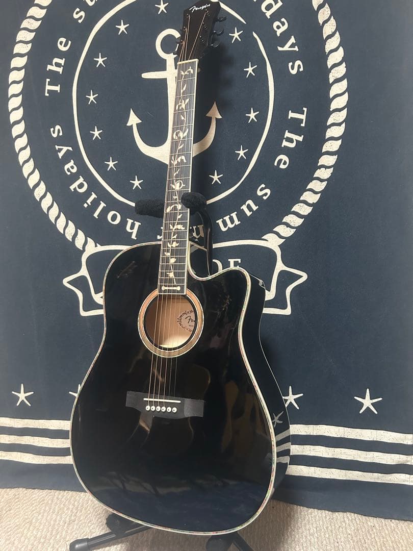今月末迄‼️特価❣️美品未使用❣️フルセット❣️ ドレッド　アコースティックギター‼️