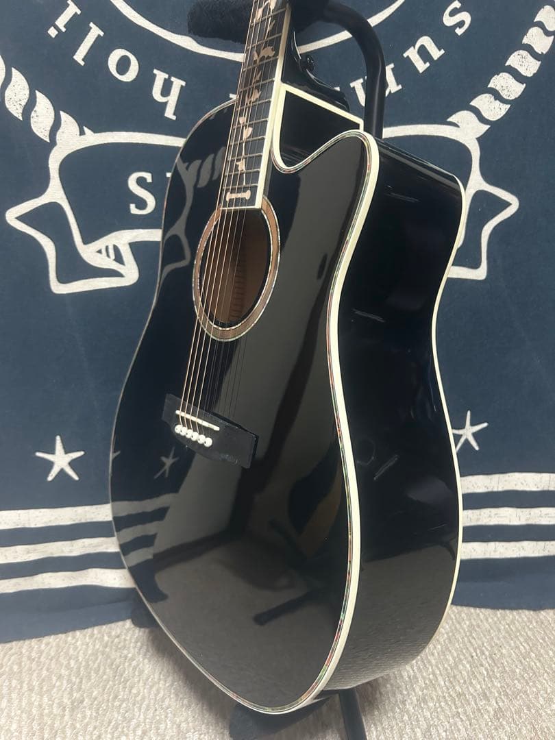 今月末迄‼️特価❣️美品未使用❣️フルセット❣️ ドレッド　アコースティックギター‼️