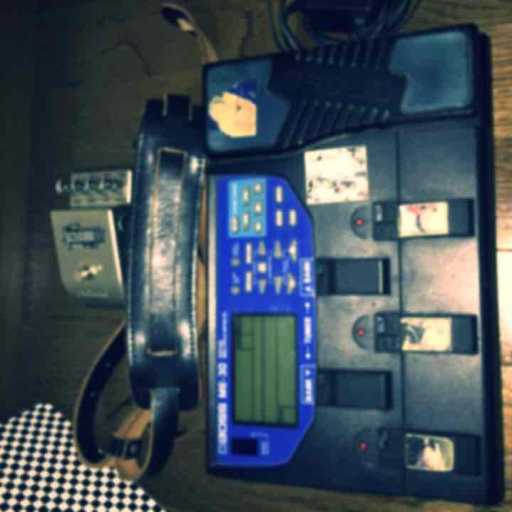 フェルナンデスモッキンバード