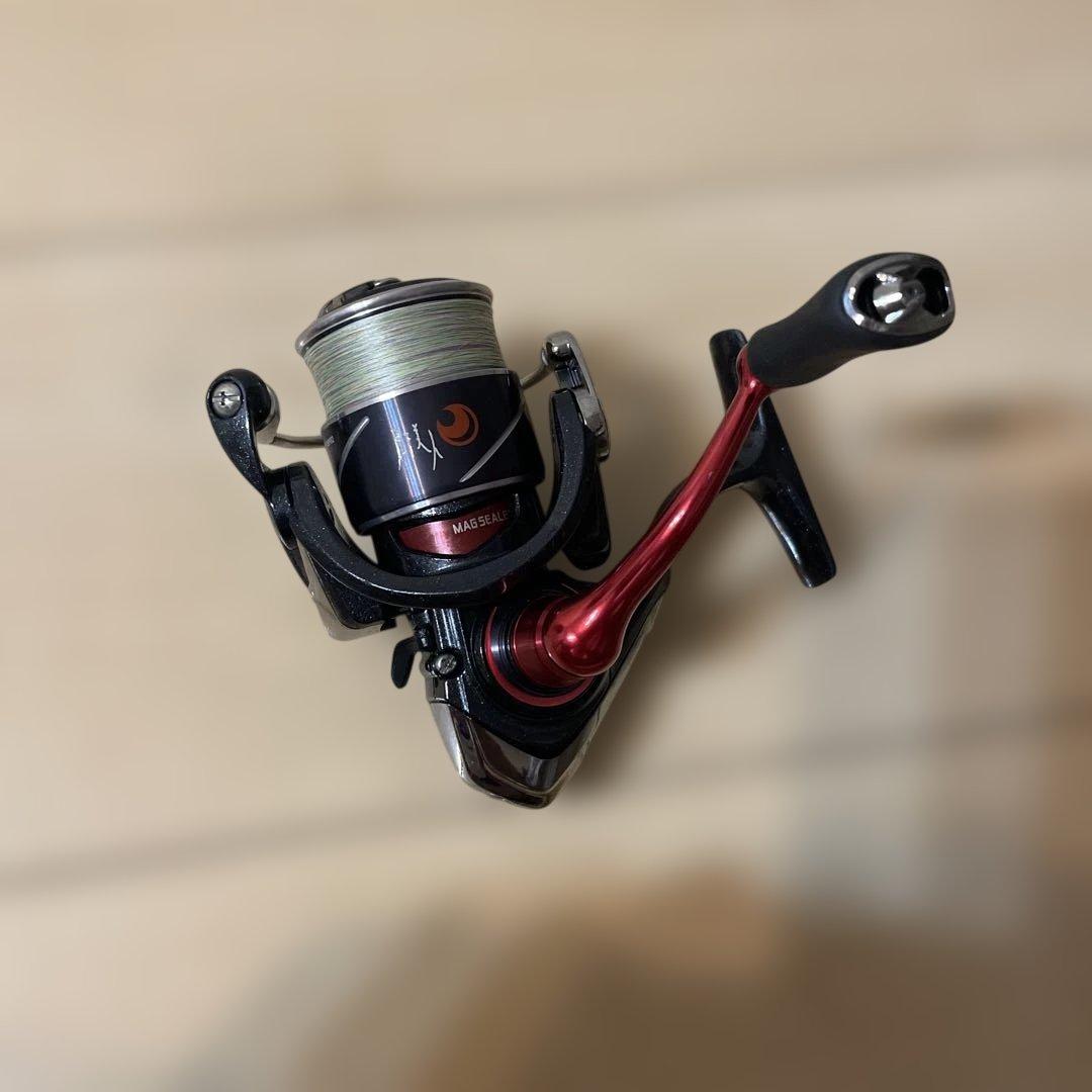 DAIWA 月下美人x LT 2000S-P