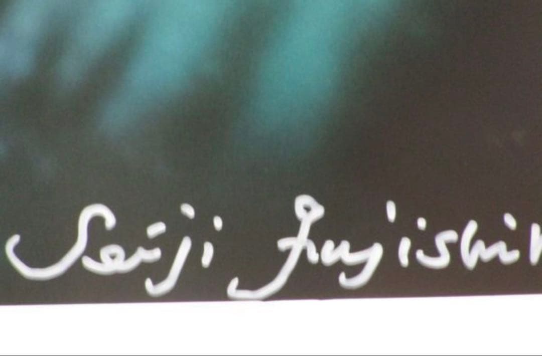 【真作】藤城清治 特大版画 「しだれ桜」250枚限定 本人サイン 美品