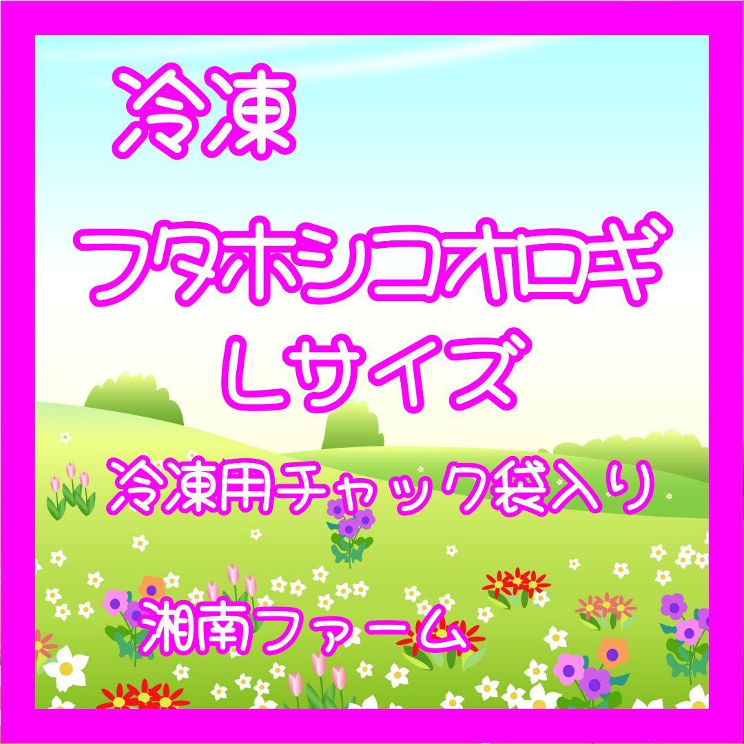 冷凍コオロギ Lサイズ 4kg 爬虫類 両生類 小動物 アロワナ フトアゴ等