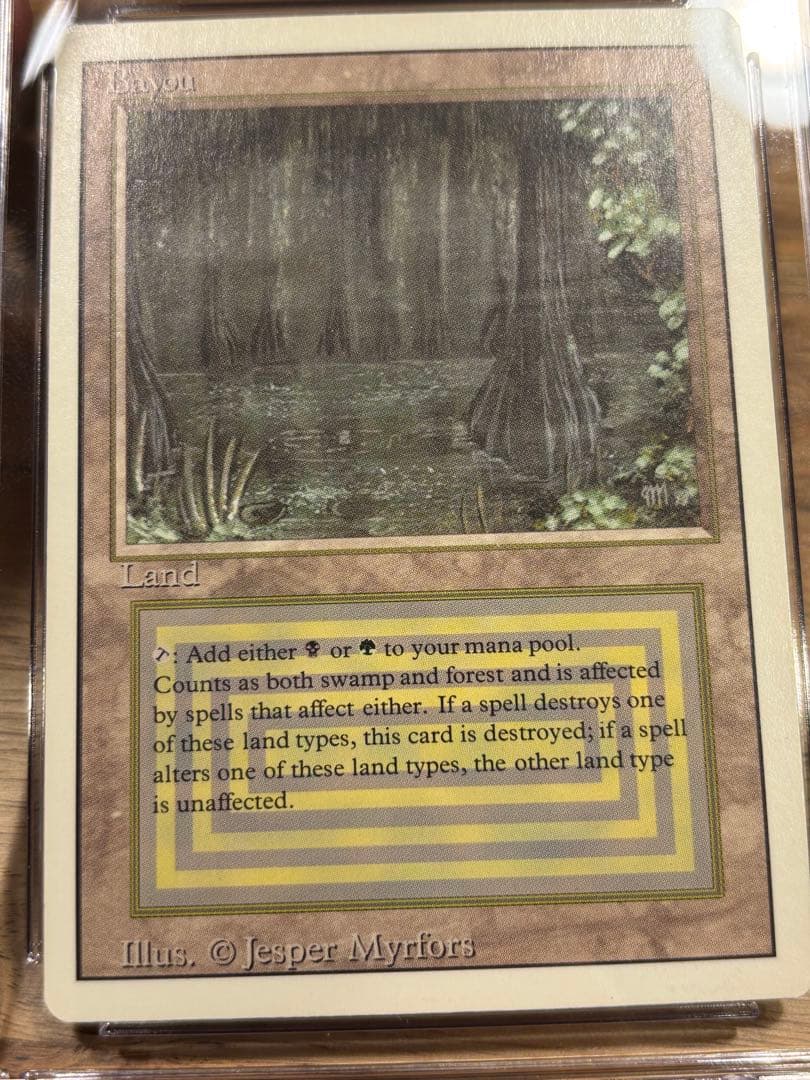 MTG Bayou リバイズド 英語1枚