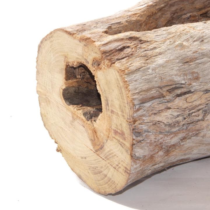 流木 インテリア レイアウト 51cm DIY 流木アート 天然 rybk9