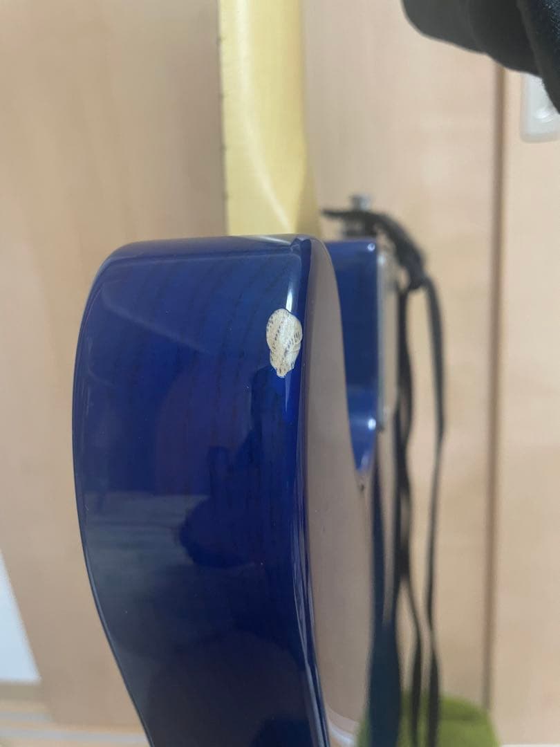 FGN テレキャスター NTE10MAH SBB Neo Classic