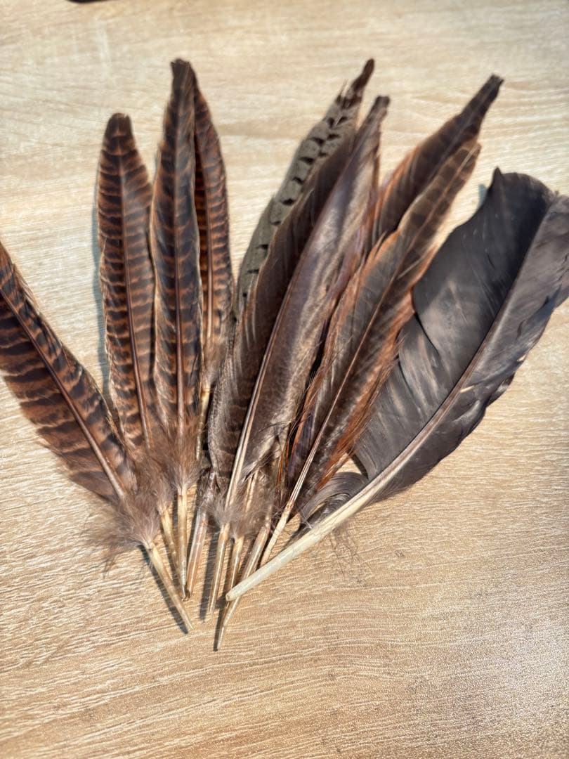 茶道具 羽箒 白鳥 風炉 茶道　羽20本セット