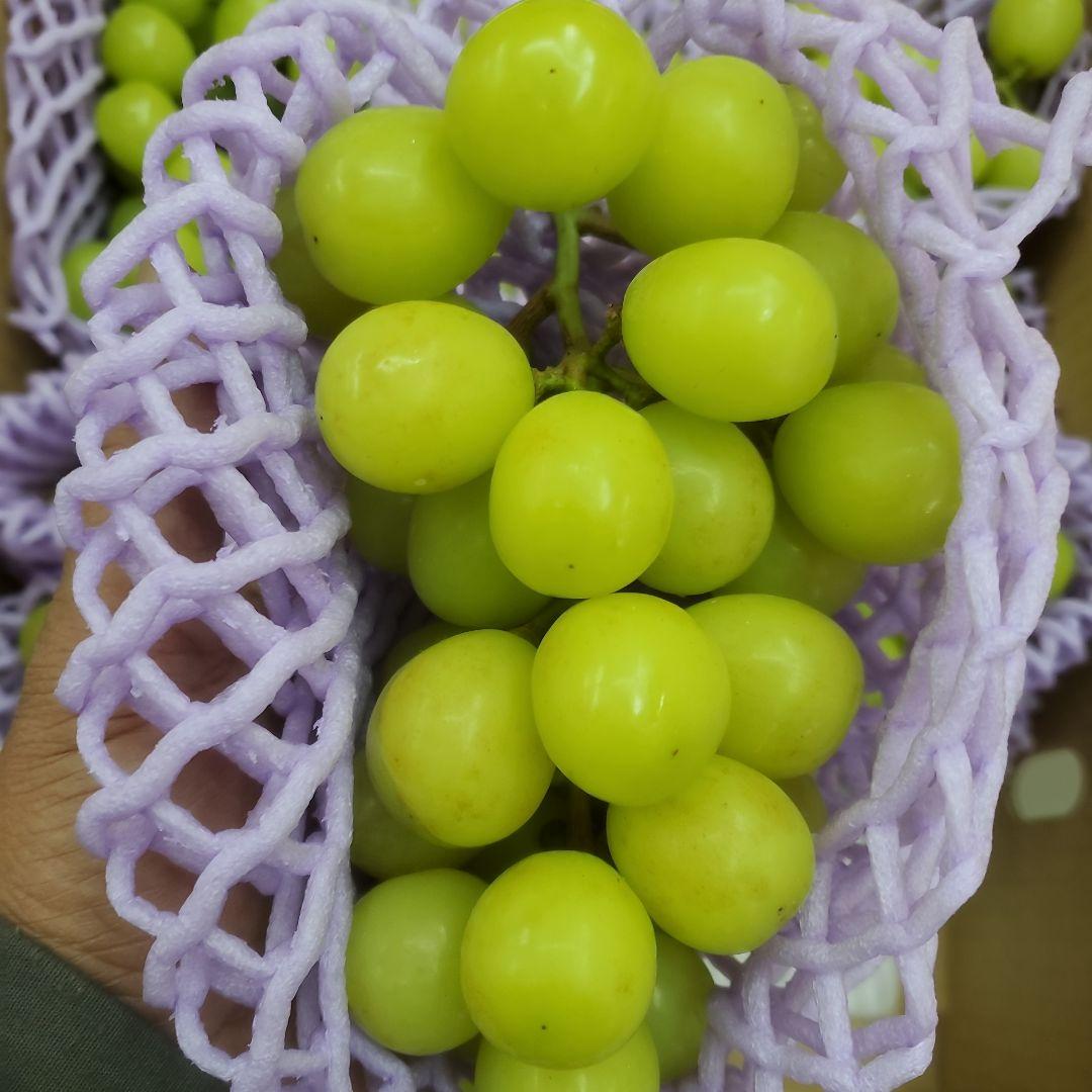 4️⃣ 山梨県産 シャインマスカット １３房 箱込み5.4キロ