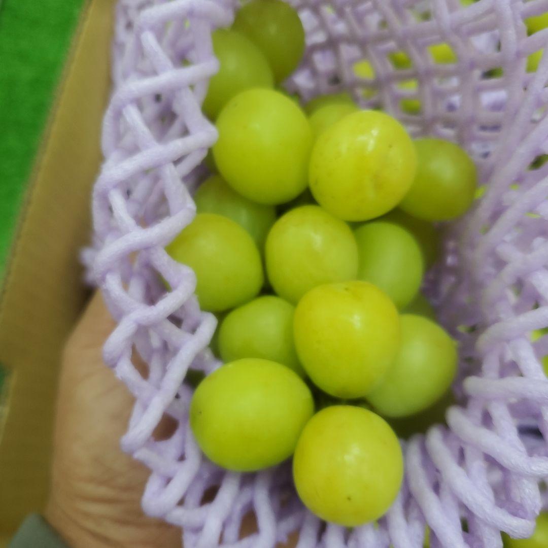 4️⃣ 山梨県産 シャインマスカット １３房 箱込み5.4キロ