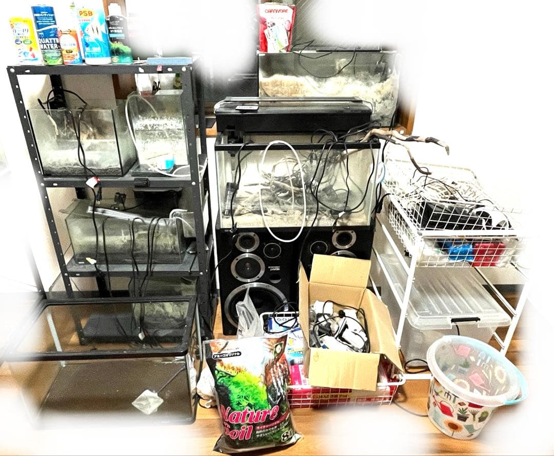 水槽 格安 ※引取限定※ 他掃除用具、濾過器写真同等一機