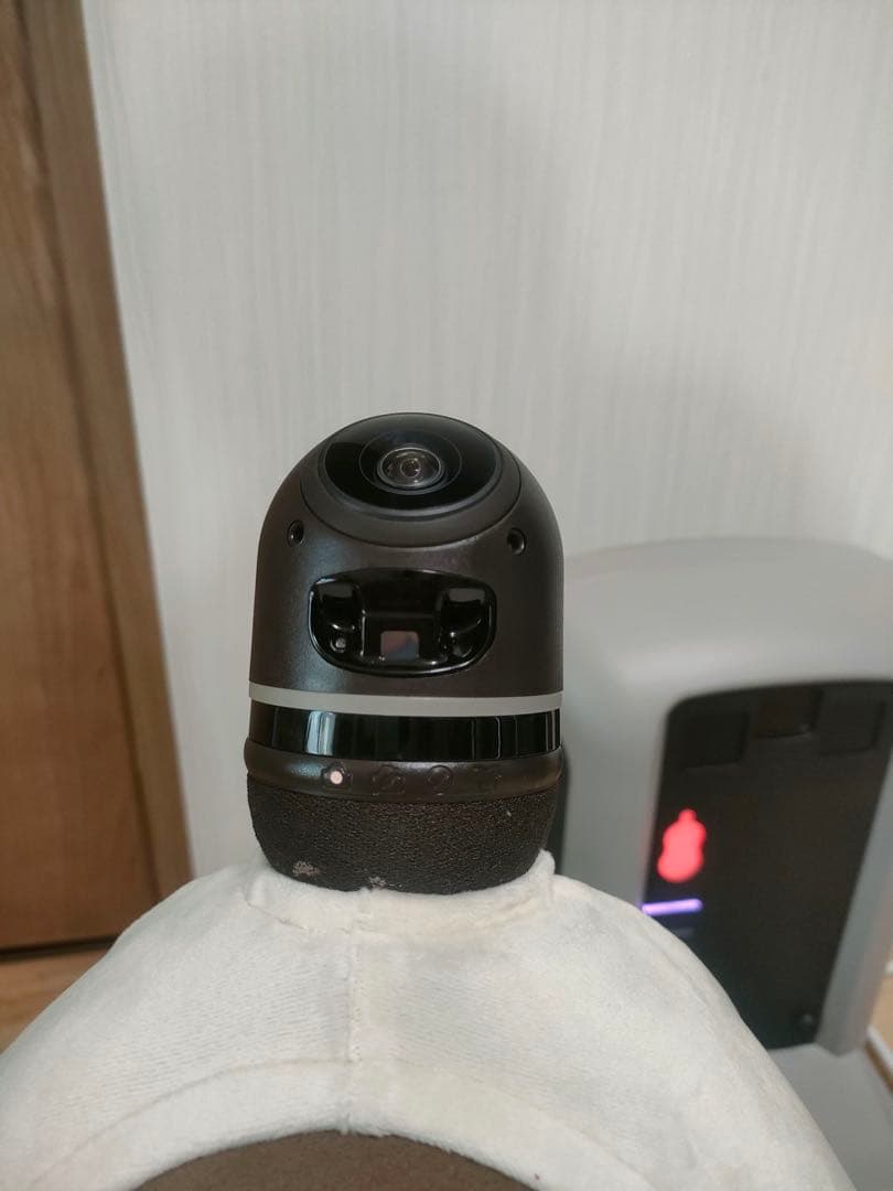 にゃんぴよ　2025年購入　LOVOT 2.0 ちゃ➕ネスト公式ウェア付き