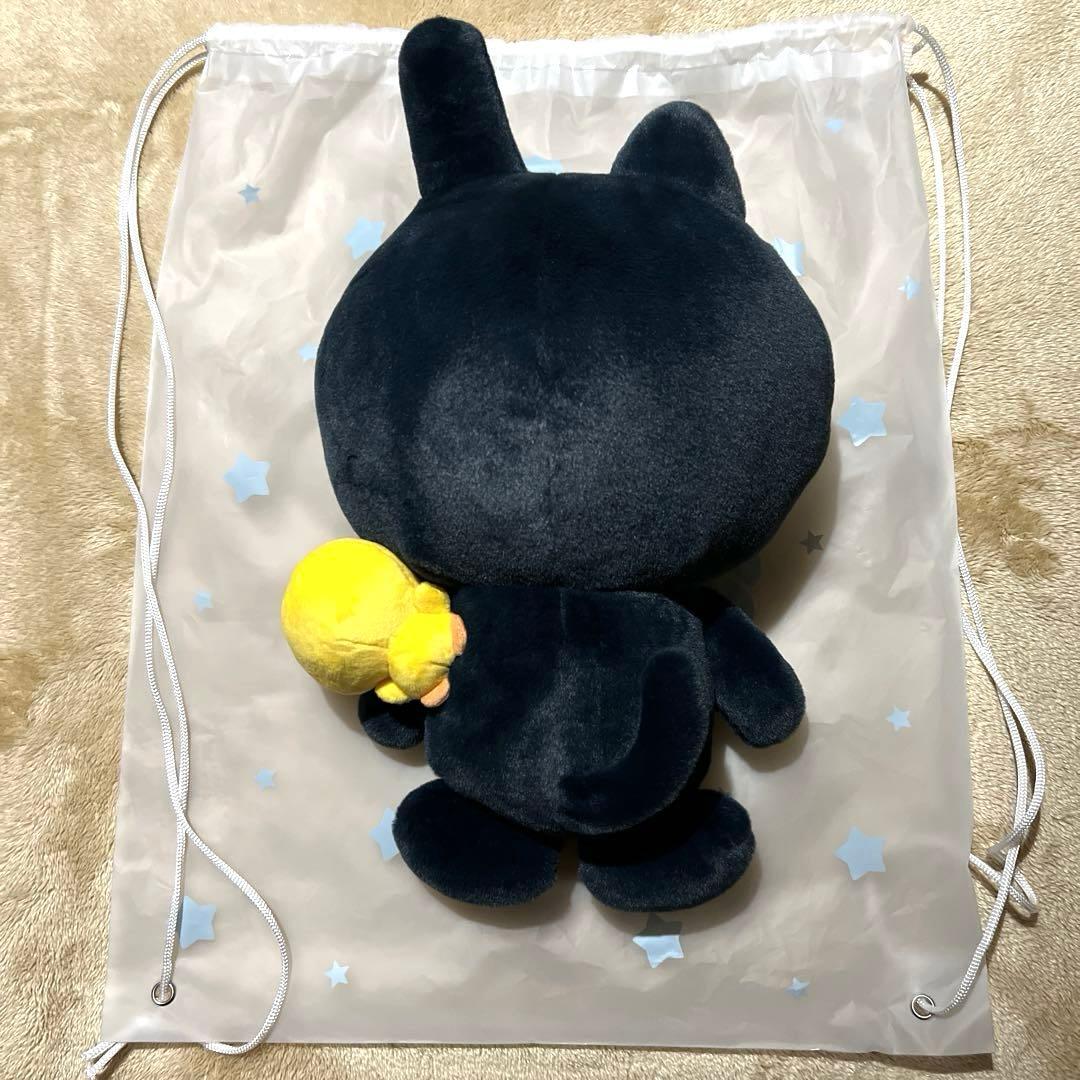 【匿名配送】riize riizing day 40cm ドール ぬいぐるみ