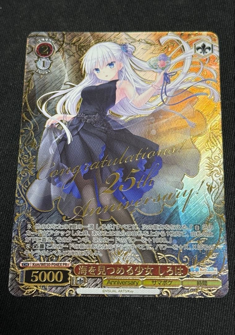 ヴァイスシュヴァルツ 海を見つめる少女 しろは　PR＋