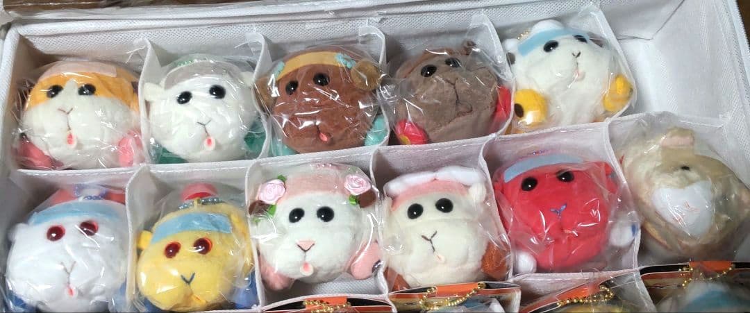 PUI PUI モルカー もちころりん vol1&2セット 特典 つむぎ付き