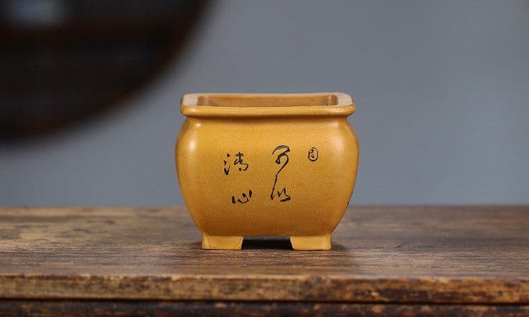 多肉植物鉢 紫砂鉢 盆栽鉢 植木鉢 小品盆栽鉢 大品盆栽鉢