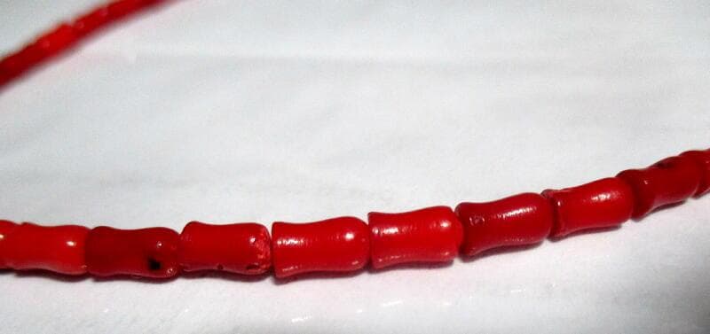 期間限定価格　高級天然皿赤珊瑚ネックレス