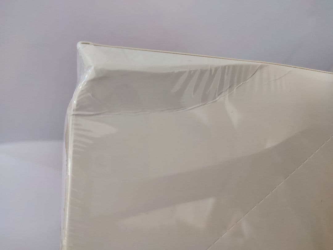 訳あり 未開封・正規品　ラブブ Big into Energy アソートボックス