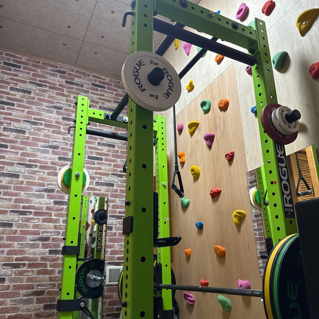 rogue モンスターライトラック