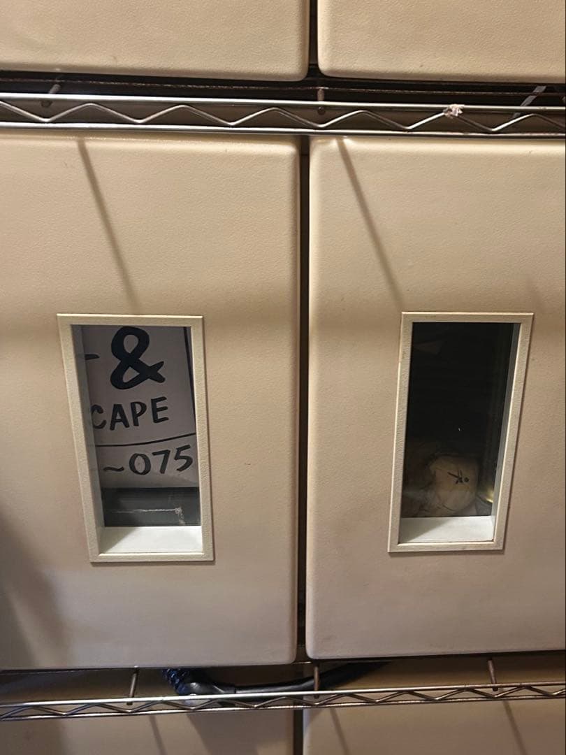 冷やし虫家ジャンク扱い品『明細欄必読』