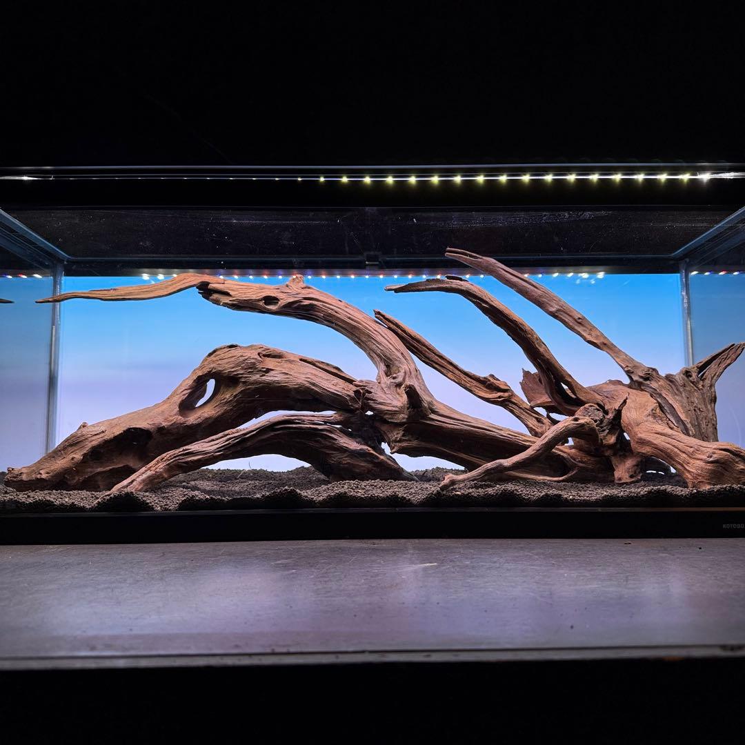 MRW-7188 赤系流木レイアウトセット　90cm水槽用流木　アクアリウム