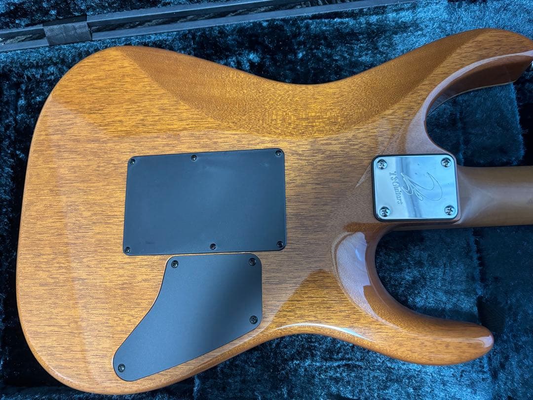 T's Guitars DST-PRO24（レフティ）