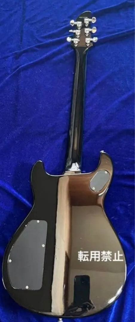 【Fernandes】エレキギター APG series 限定品