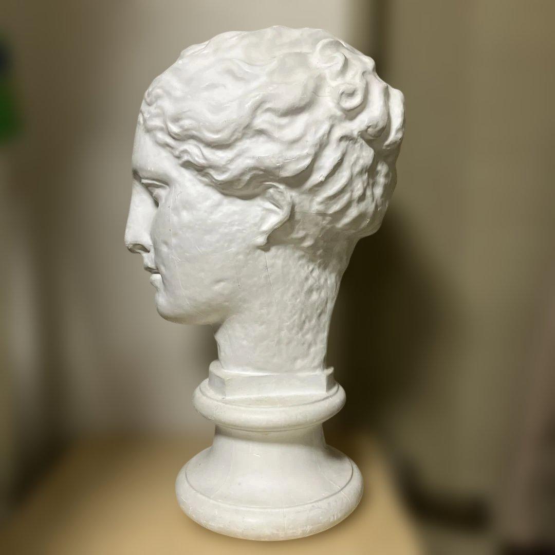 石膏像　古代ヴィーナス首像（アバタのヴィーナス）