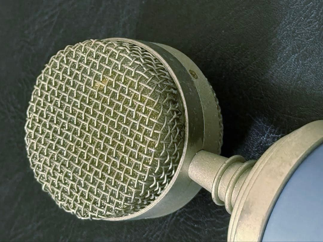 レア 完動 BlueMicrophones BlueBird