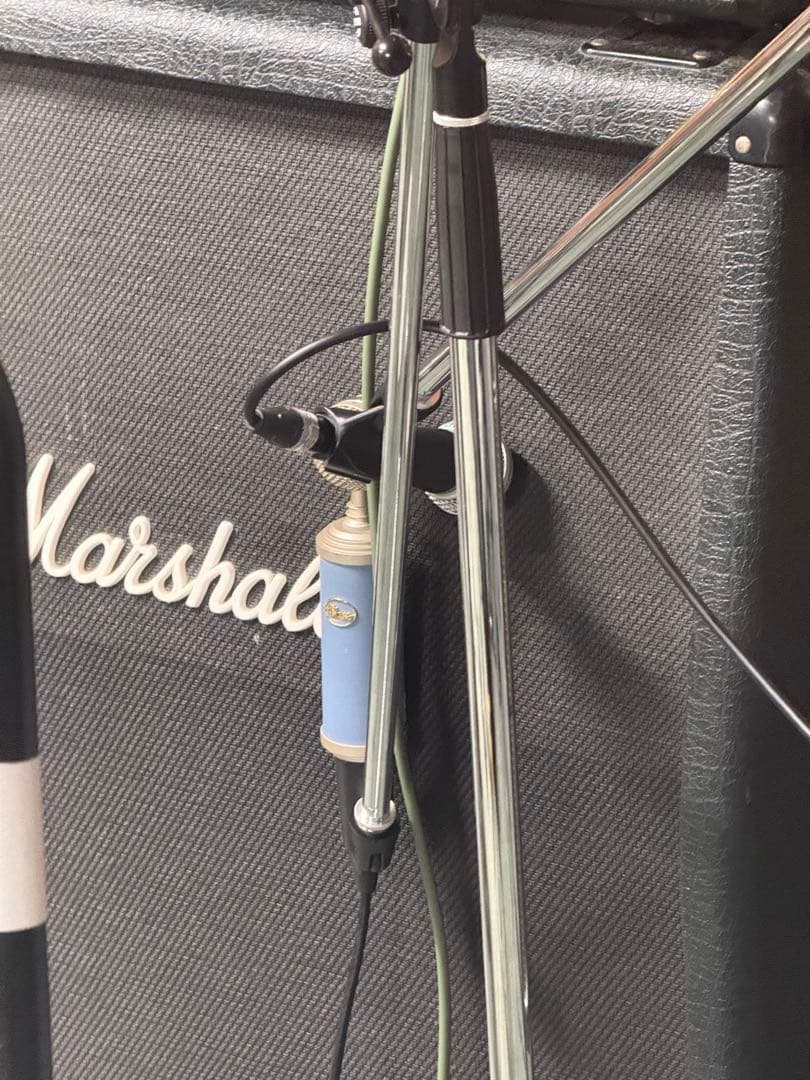 レア 完動 BlueMicrophones BlueBird