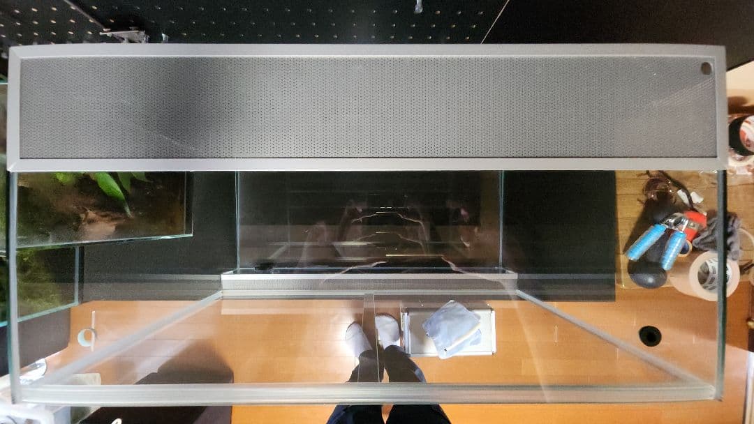 Rainforest 600×300×450