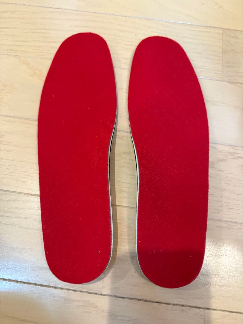 ノルディカ　スキーブーツ　25.5センチ　ドーベルマン GP110