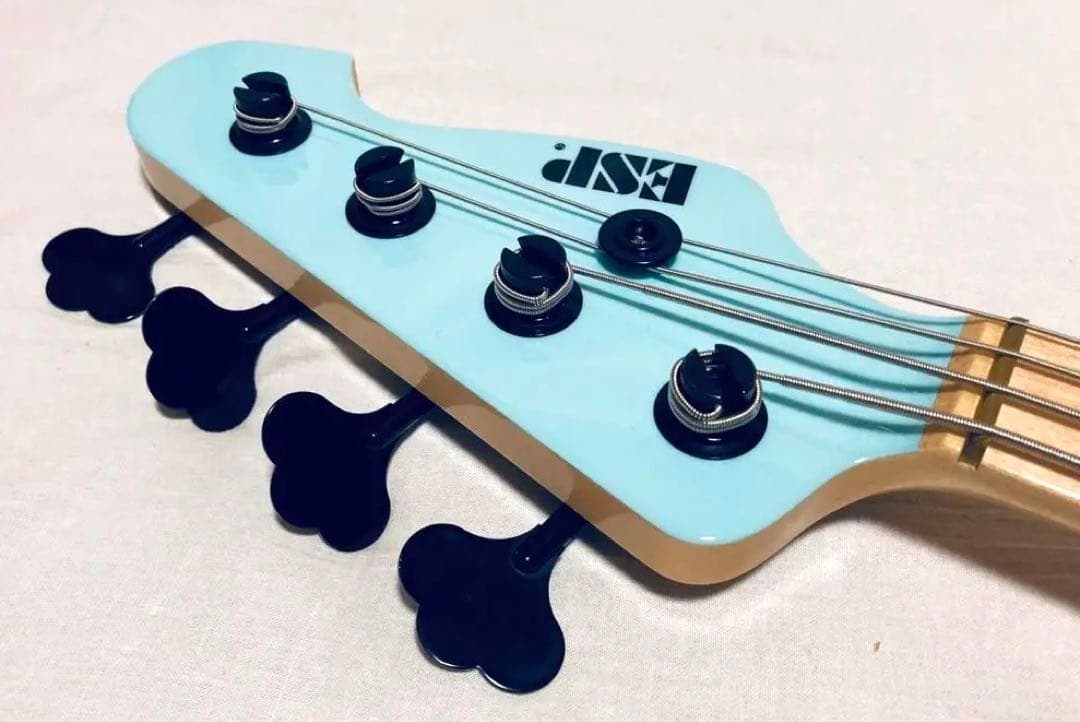 ESP EAST BLUE 04 Limited Sazabys 新品同等