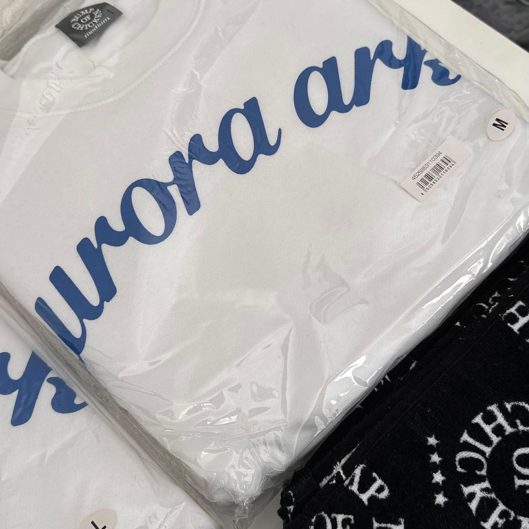 BUMP OF CHICKEN グッズまとめ売り