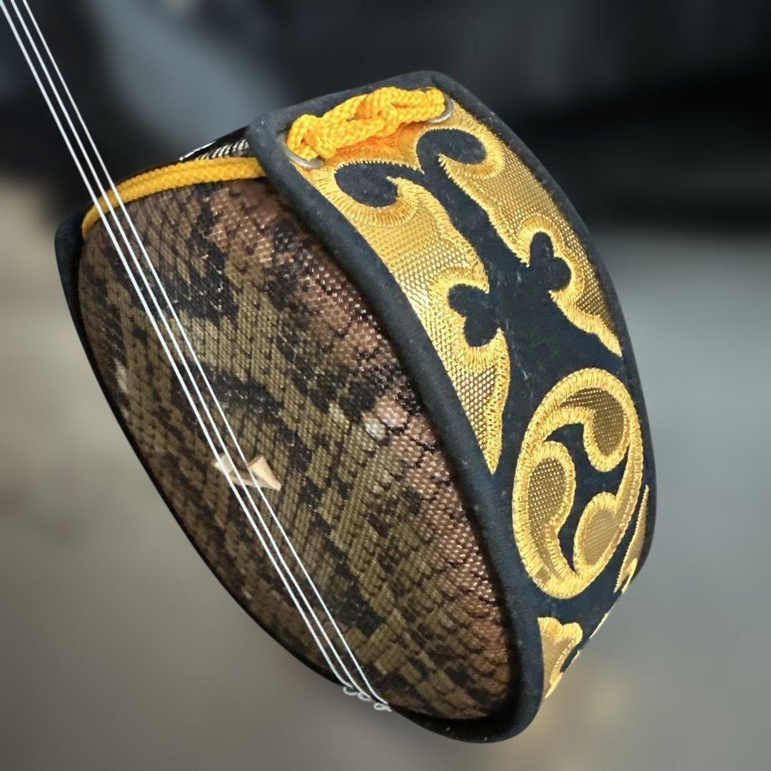 大幅お値下げ❣️三線本体 ケース付き