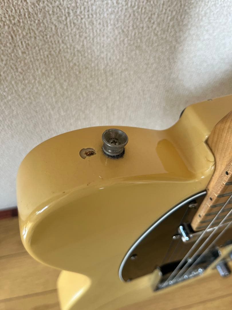 Bacchus Telecasterスタイル エレキギター♪