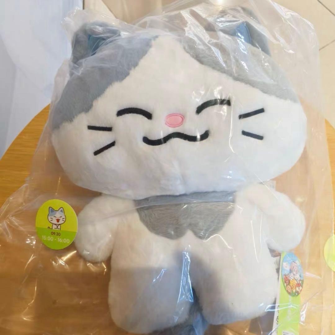 nct dream line popup ぬいぐるみ　チョンロ　クッション