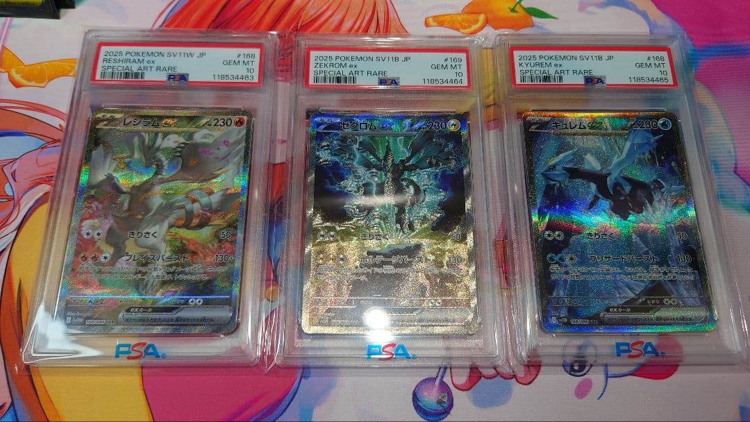 PSA10 レシラムex/ゼクロムex/キュレムex SAR 3連番 おまけ付き