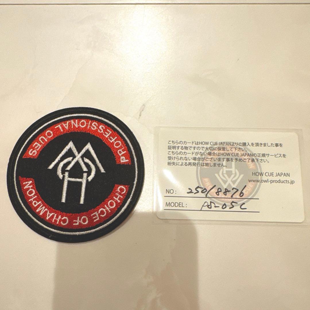 HOW（ハオ）キュー　最新Proシリーズ　新古品　2回使用
