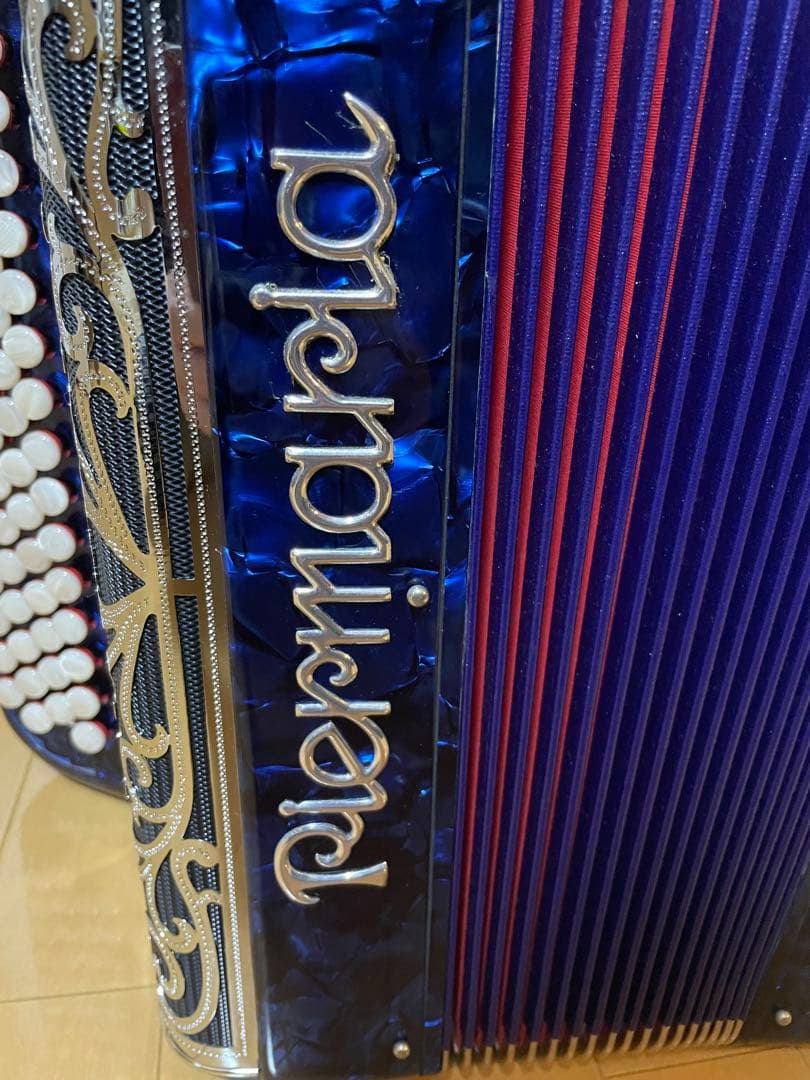 ヒ*ム様 ⭐︎超美品⭐︎Piermaria ボタン式アコーディオン ハードケース