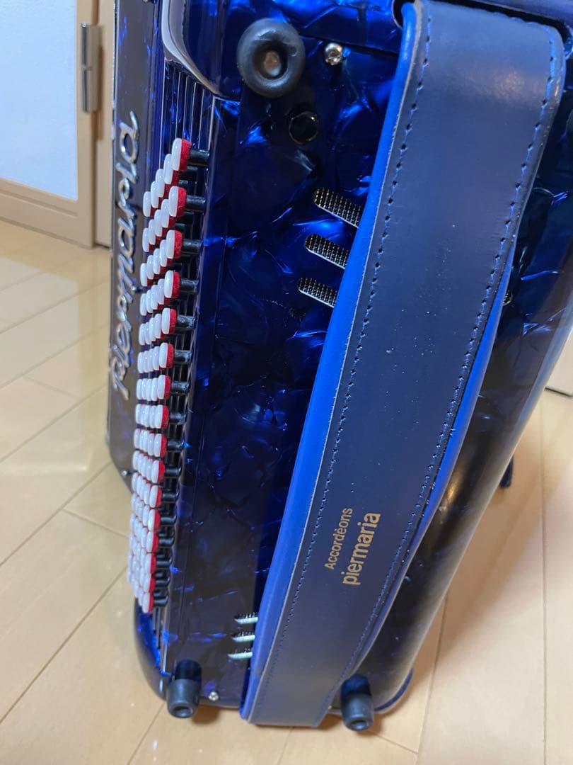 ヒ*ム様 ⭐︎超美品⭐︎Piermaria ボタン式アコーディオン ハードケース