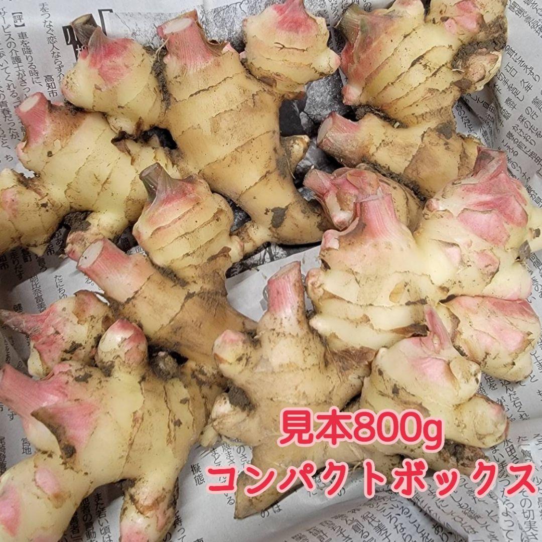 ☆10kg新生姜(土付き)