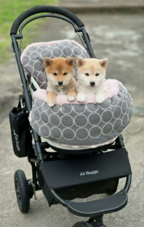 ❤あご乗せクッション❤ペットカートコンフォーター❤grey✕pink