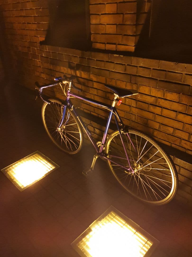 panasonic order ロードバイク roadbike クロモリ ブルー