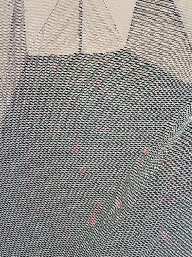 モンベル ムーンライトキャビン4 　タンカラー