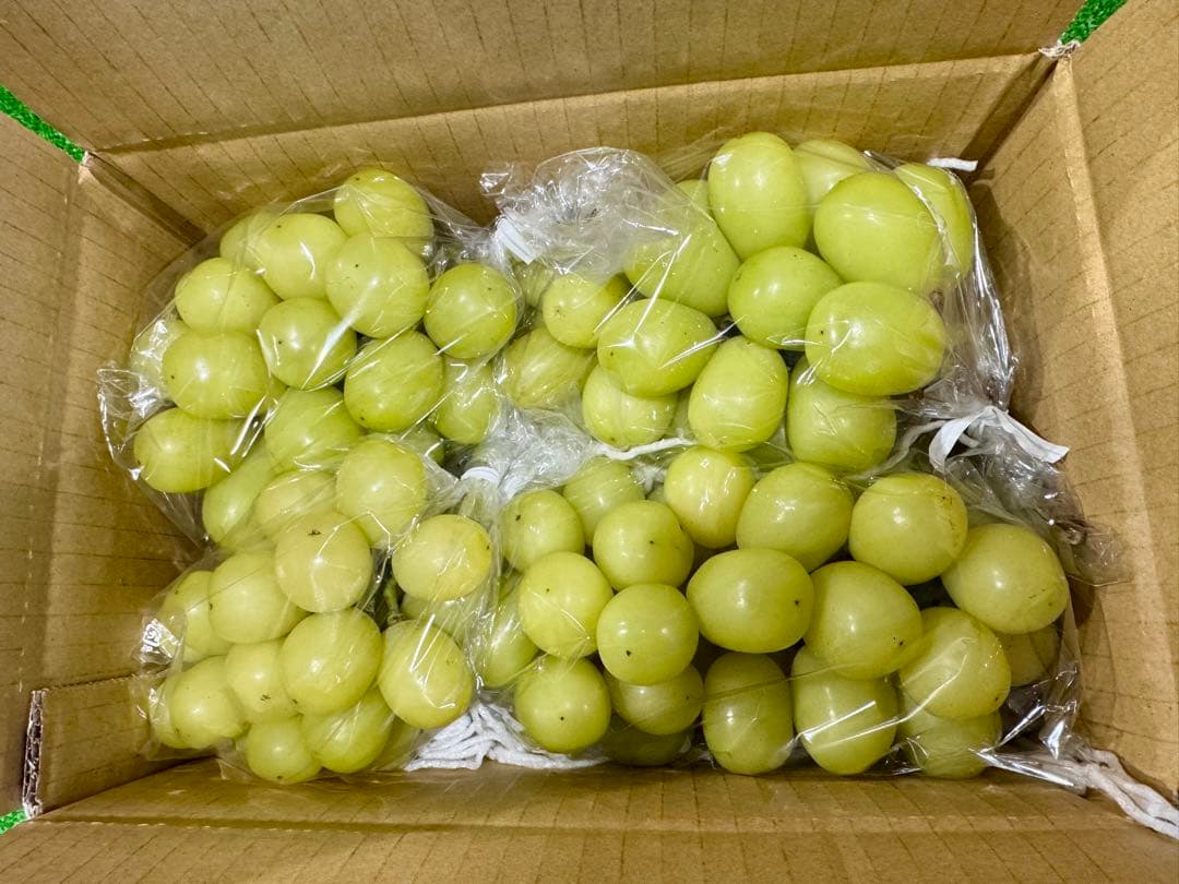 でんスケ　15K シャインマスカット