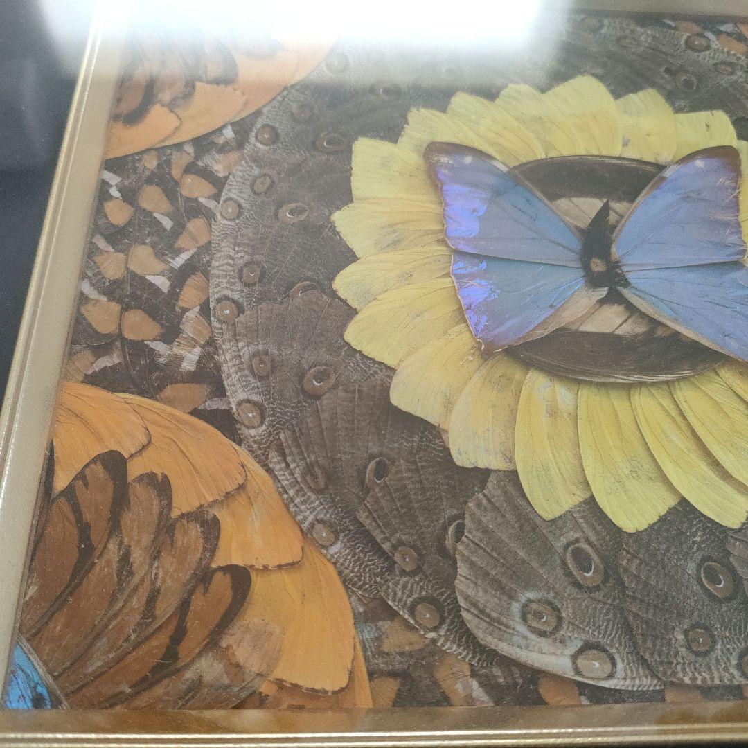 蝶 モチーフ 額装アート 絵画 立体作品 インテリア