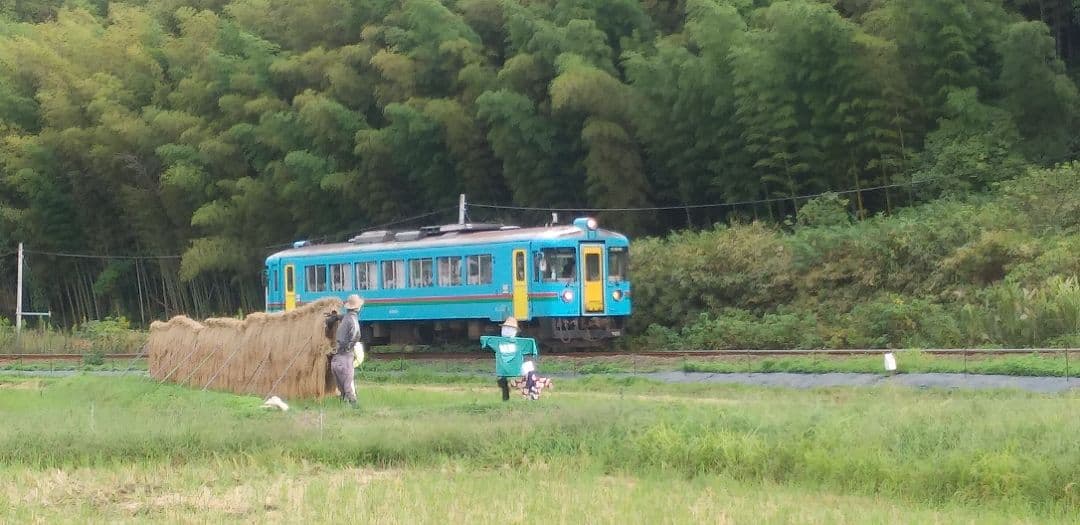 特別栽培米を農家よりお届けします。冷めても美味しい　郷のこめ9kg（おまけ有）
