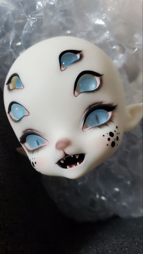 その他 DOLK 1/6sise