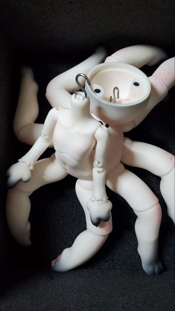 その他 DOLK 1/6sise