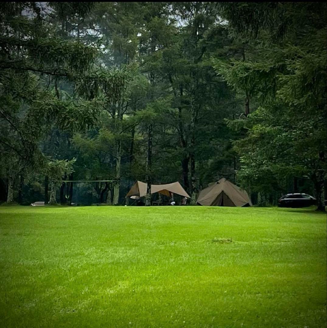 ゼインアーツ ゼクーM 【おまけ付き】