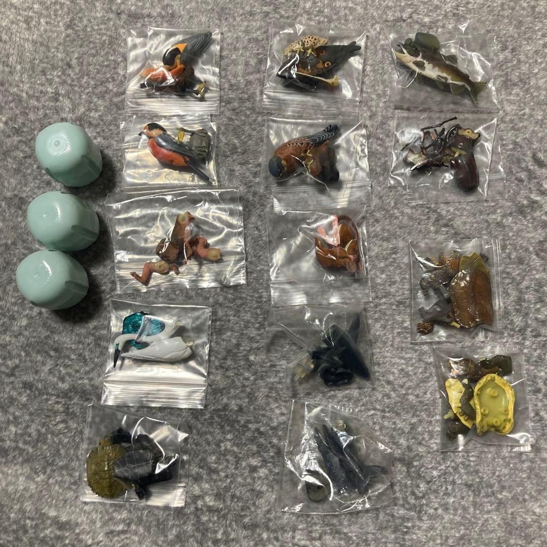 海洋堂　チョコQ 日本の動物　11弾　フルコンプ